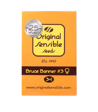 Bruce Banner #3 fem (Original Sensible Seeds)