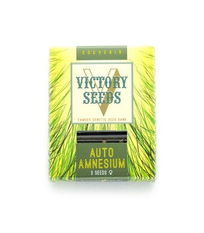 Семена сорта Auto Amnesium fem (Victory Seeds)