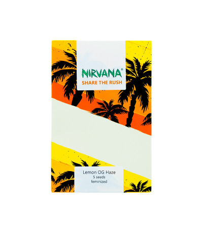 Семена сорта Lemon OG Haze fem (Nirvana Seeds)