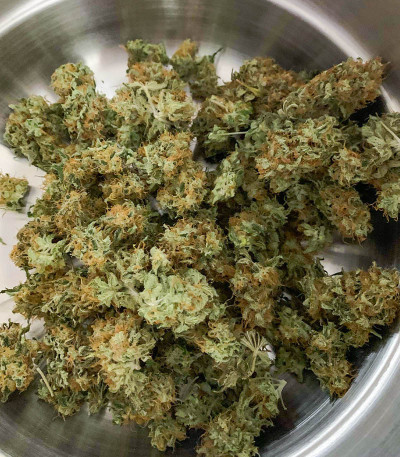 Семена сорта Vitality fem (AlphaFem Seeds)