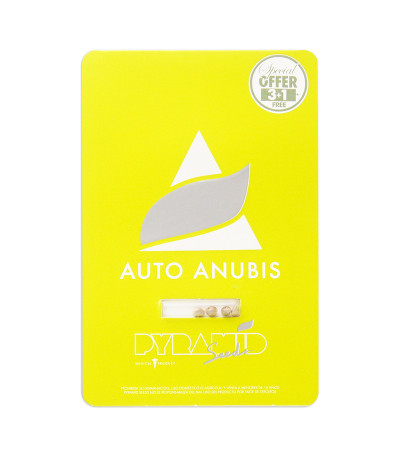 Семена сорта Auto Anubis fem (Pyramid Seeds)