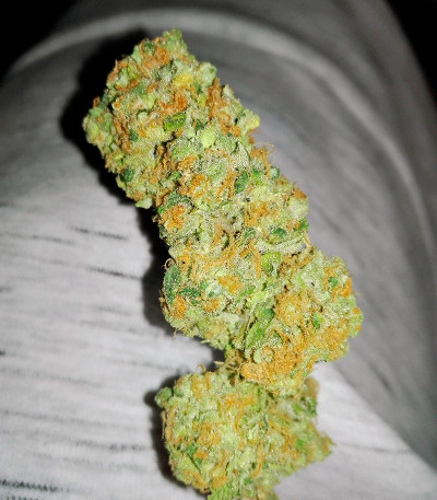 Семена сорта Fresh Candy fem (Pyramid Seeds)