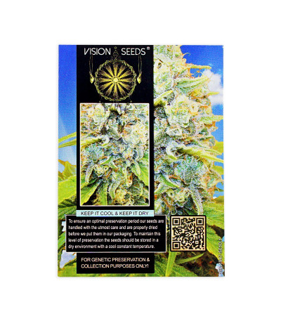 Семена сорта Medical 49 CBD+ fem (Vision Seeds)