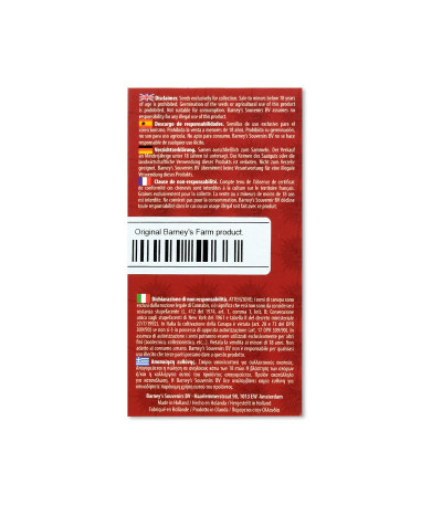 Семена сорта Glue Gelato Auto fem (Barney's Farm)