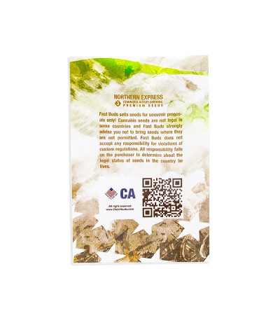 Семена сорта Northern Express Auto fem