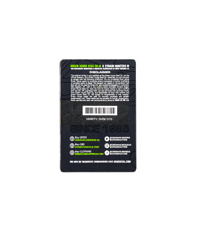 Семена сорта HighCloudZ Auto fem от Green House Seeds