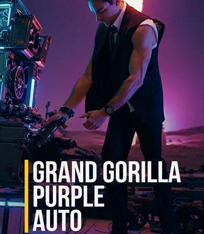 Семена сорта Grand Gorilla Purple Auto fem (Семяныч)