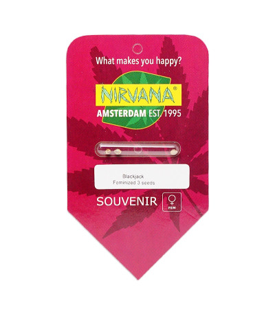 Семена сорта BlackJack fem (Nirvana Seeds)