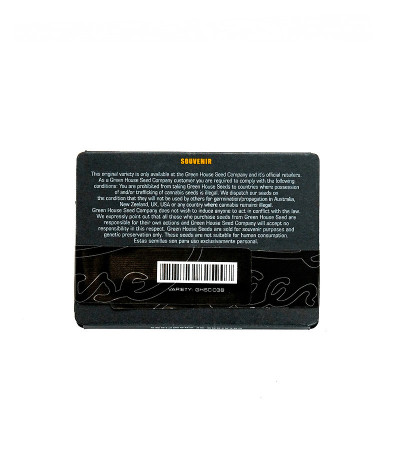 Семена сорта AMS fem