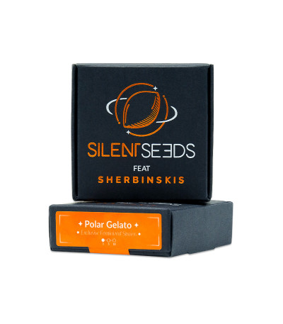 Семена сорта Polar Gelato fem (Silent Seeds)