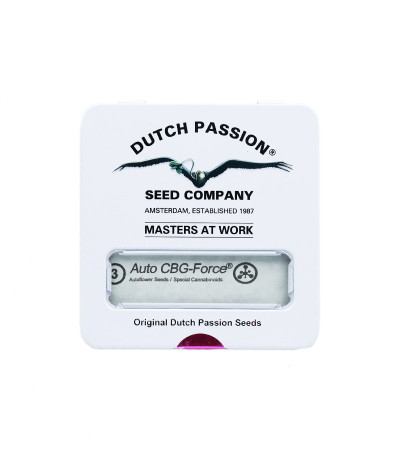 Семена сорта Auto CBG-Force fem (Dutch Passion)