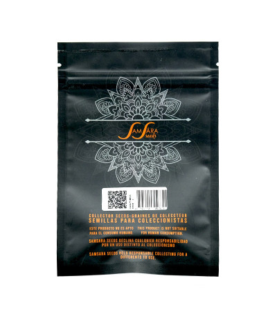 Семена сорта Crazy Miss Hyde fem (Samsara Seeds)