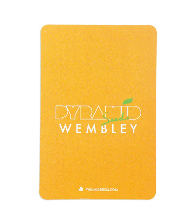 Семена сорта Wembley fem (Pyramid Seeds)
