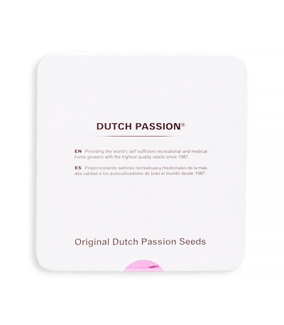 Семена сорта StarRyder Auto fem (Dutch Passion)