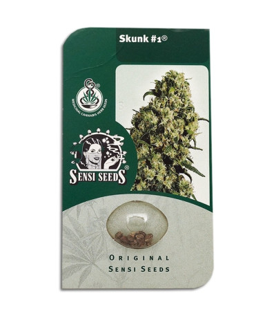 Семена сорта Skunk #1 reg (Sensi Seeds)