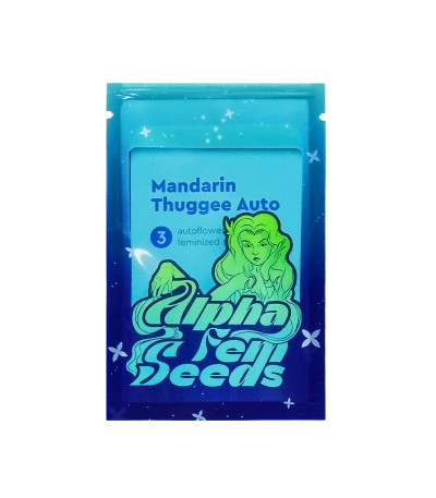 Семена сорта Mandarin Thuggee Auto fem (AlphaFem Seeds)