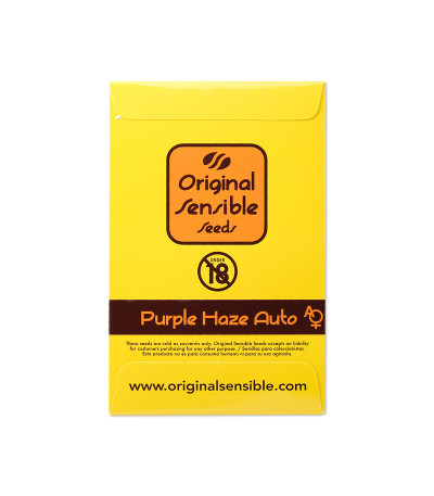 Семена сорта Purple Haze Auto fem (Original Sensible Seeds)