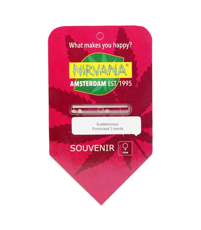 Семена сорта Bubblelicious fem (Nirvana Seeds)