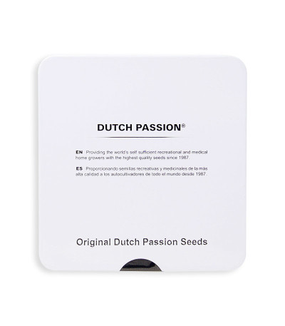 Семена сорта Mazar reg (Dutch Passion)