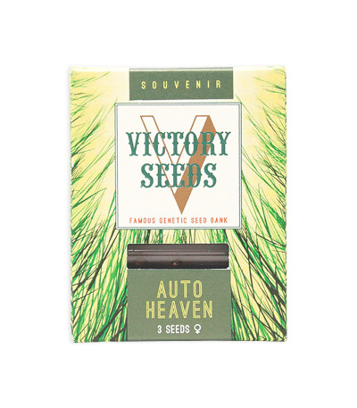 Семена сорта Auto Heaven fem (Victory Seeds)