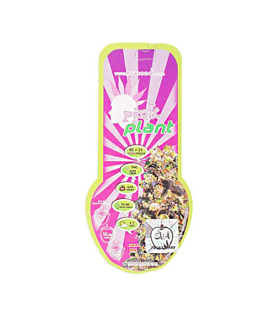 Семена сорта Pink Plant fem