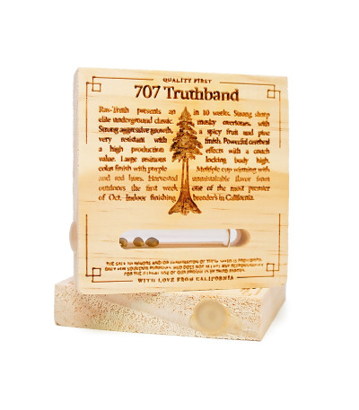 Семена сорта 707 Truthband by Emerald Mountain fem