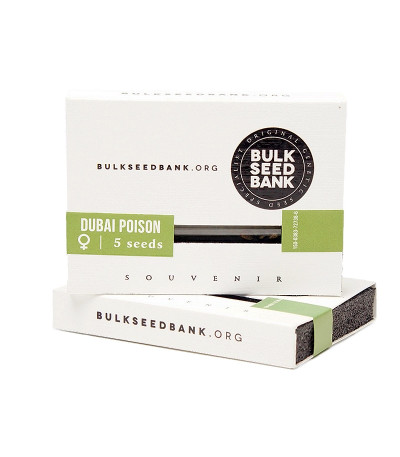 Семена сорта Dubai Poison fem