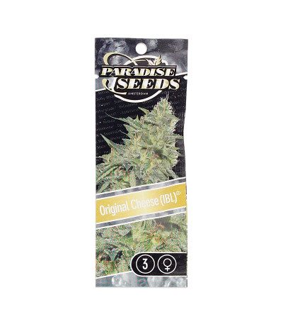 Семена сорта Original Cheese (IBL) fem