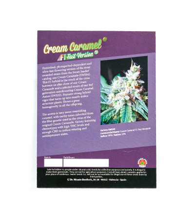 Семена сорта Cream Caramel F1 Fast Version fem (Sweet Seeds)