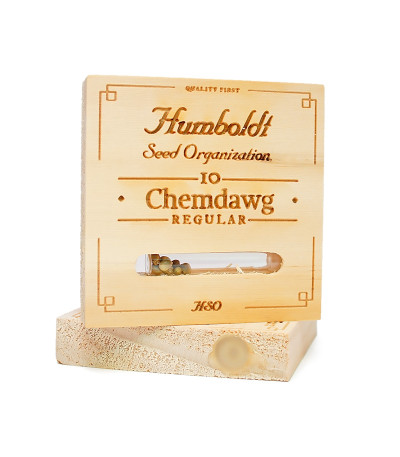 Семена сорта Chemdawg reg (Humboldt Seeds)