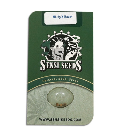 Семена сорта Northern Lights 5 X Haze fem (Sensi Seeds)