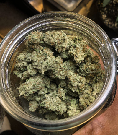 Семена сорта Zkittlez fem (Семяныч)