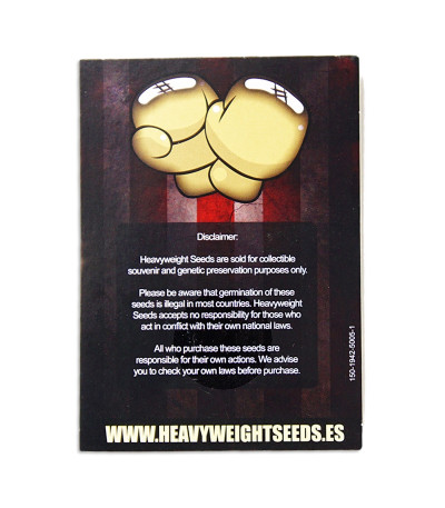 Семена сорта Strawberry Cake fem (Heavyweight Seeds)