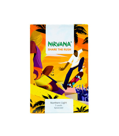 Семена сорта Northern Lights fem (Nirvana Seeds)