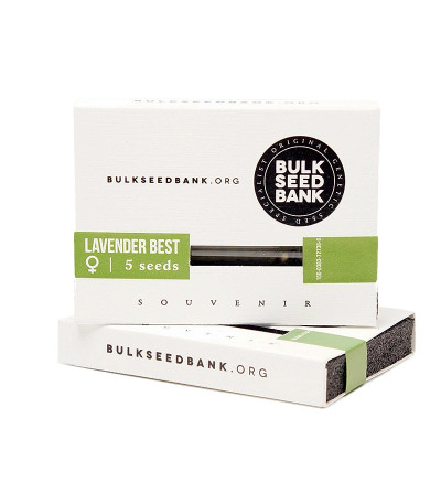 Семена сорта Lavender Best fem