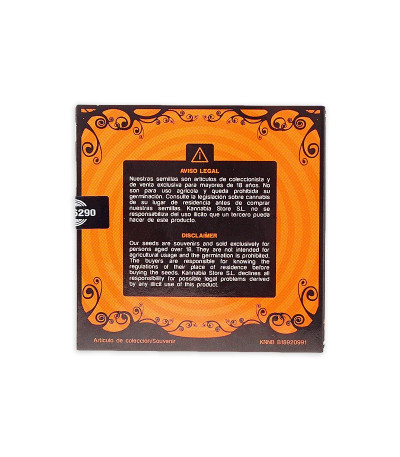 Семена сорта Kritikal-K fem