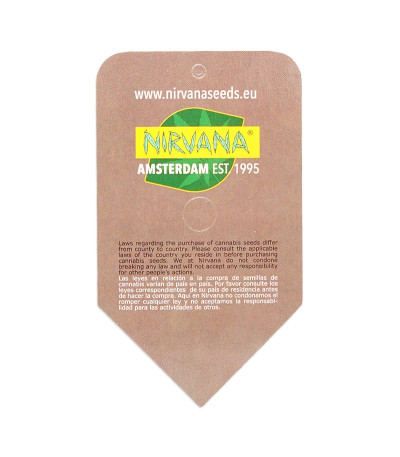 Семена сорта Aurora Indica regular (Nirvana Seeds)