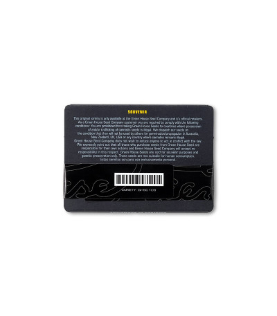 Семена сорта Chemical Bride fem (Green House Seeds)