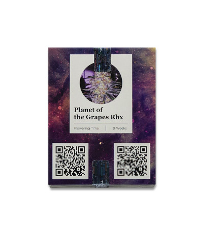 Семена сорта Planet of the Grapes RBX fem (Ethos Genetics)