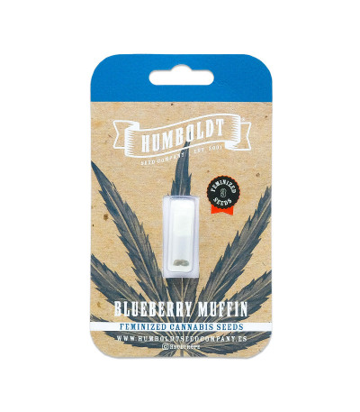 Семена сорта Blueberry Muffin fem (Humboldt Seed Company)