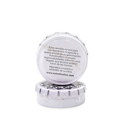 Семена конопли Blue Cheese Autoflowering от Dinafem Seeds