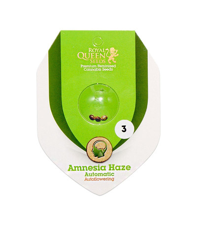 Семена сорта Amnesia Haze Automatic fem (Royal Queen Seeds)