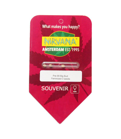 Семена сорта Pre-99 Big Bud fem