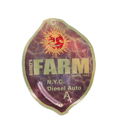 Семена конопли NYC Diesel Auto в оригинальной упаковке