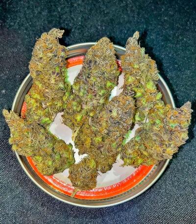 Семена сорта Insane OG Strain