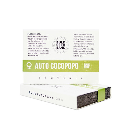 Семена сорта Auto Cocopopo fem