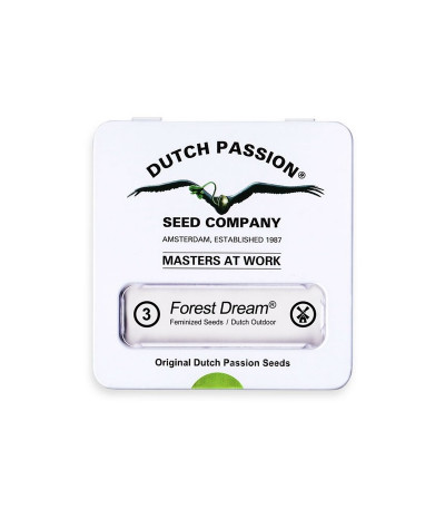 Семена каннабиса Forest Dream в оригинальной упаковке