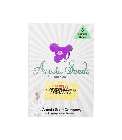 Семена сорта Afghanica fem (Anesia Seeds)