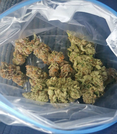 Семена сорта Bubba Gum Auto fem (Dr. Krippling Seeds)