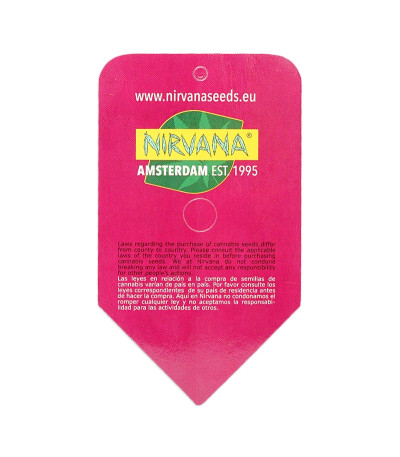 Семена сорта Jock Horror fem (Nirvana Seeds)